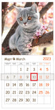 Забавные котята.  Календарь на скрепке с курсором  на 2023 год